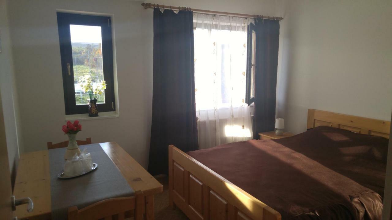 Pensiunea Casa Vanatorului Hotel Oteleni Kültér fotó