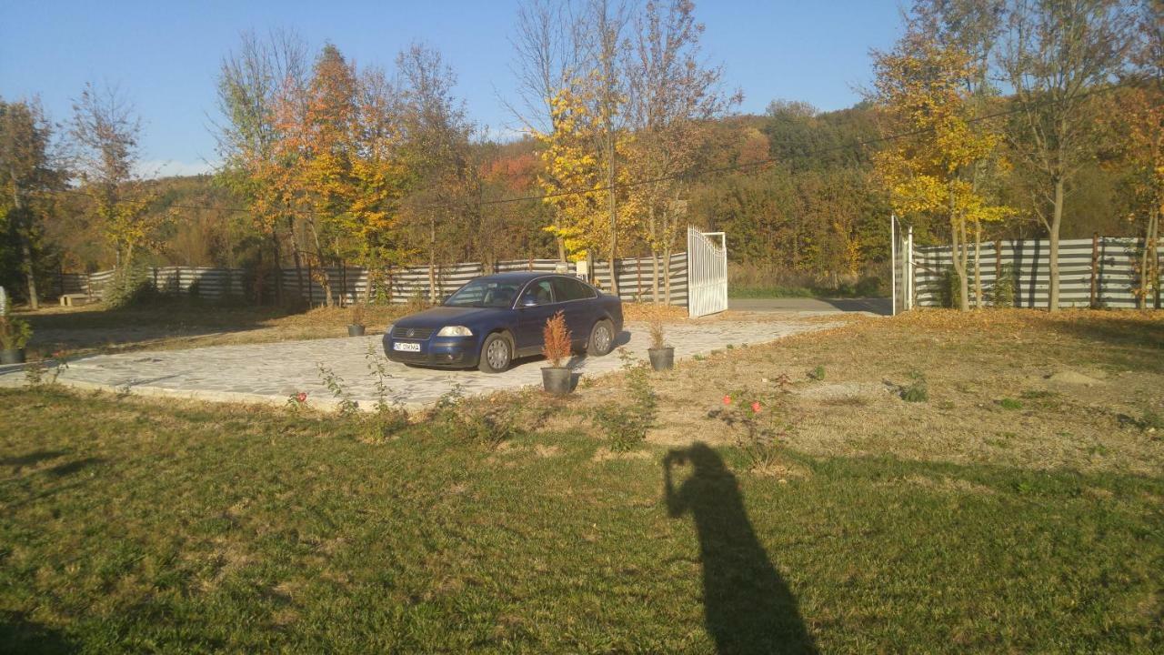 Pensiunea Casa Vanatorului Hotel Oteleni Kültér fotó
