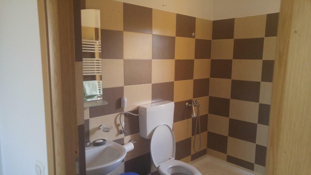 Pensiunea Casa Vanatorului Hotel Oteleni Kültér fotó