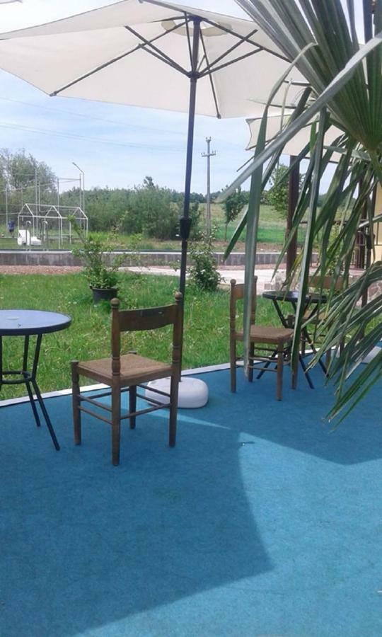 Pensiunea Casa Vanatorului Hotel Oteleni Kültér fotó